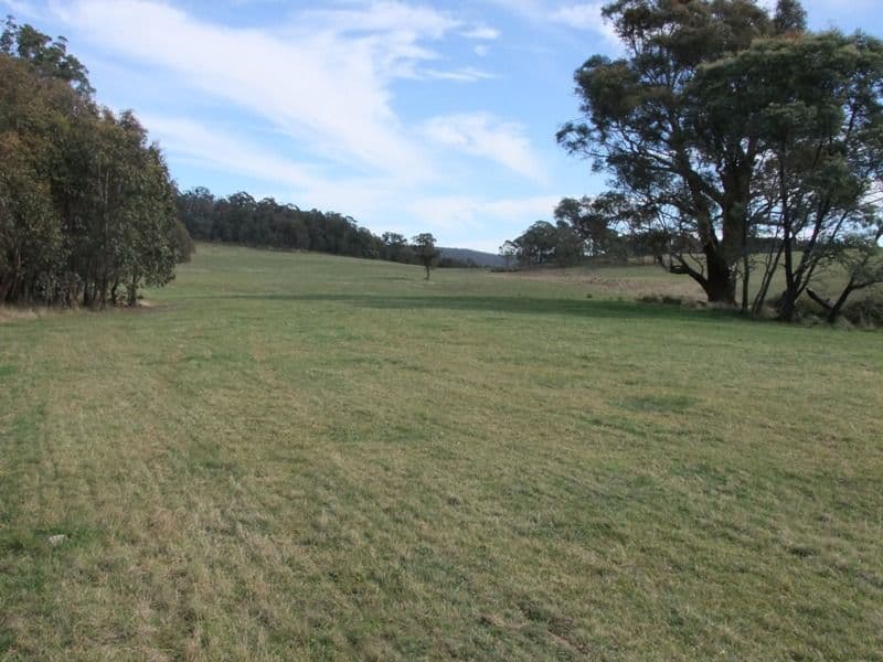 809 Dark Corner Road, BATHURST NSW 2795, Bathurst - Thumbnail 8