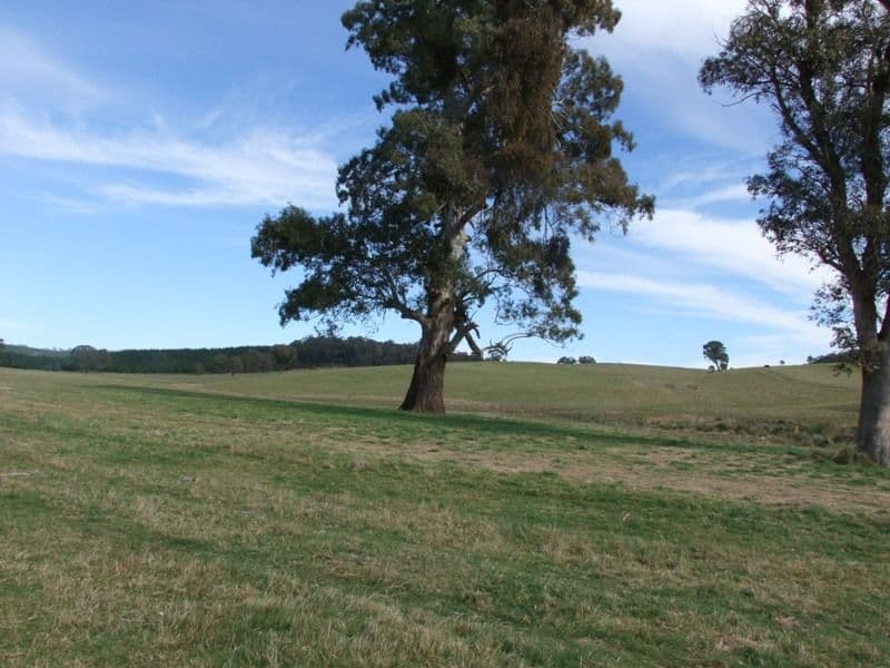 809 Dark Corner Road, BATHURST NSW 2795, Bathurst - Thumbnail 5