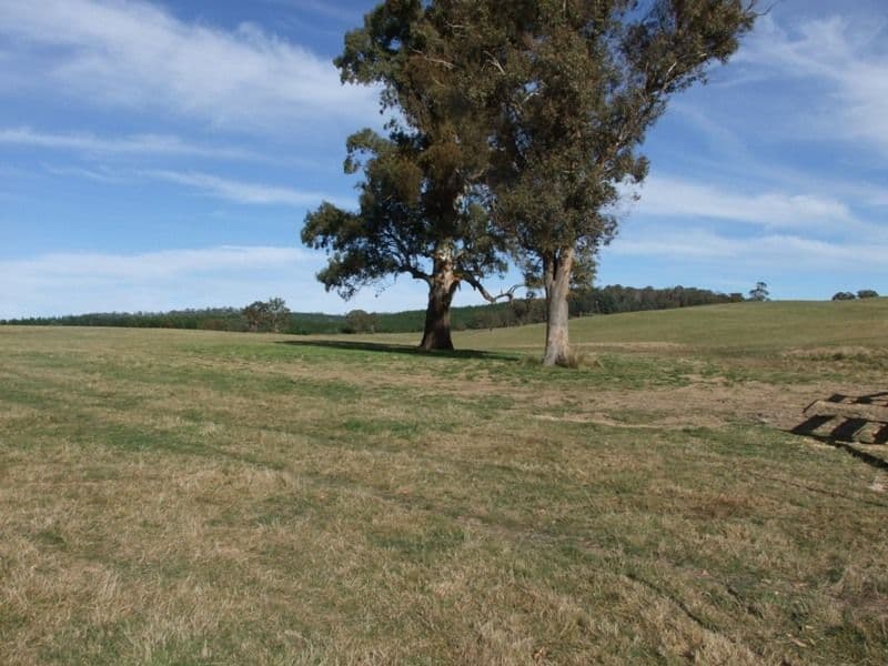 809 Dark Corner Road, BATHURST NSW 2795, Bathurst - Thumbnail 3
