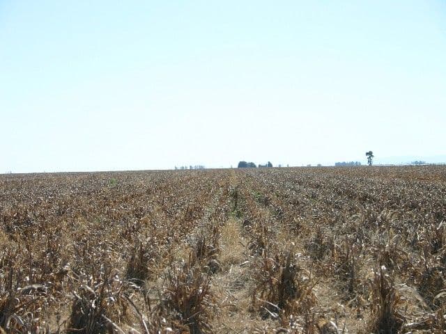 DALBY QLD 4405, Dalby - Thumbnail 5