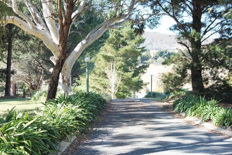 785 Bungendore Road, BYWONG NSW 2621, Bywong - Thumbnail 6