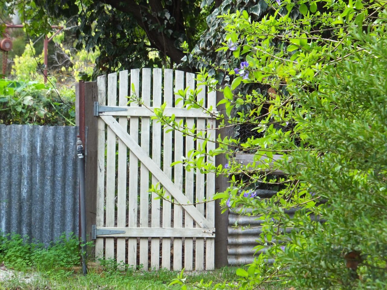 65 DELISLE Street, BALINGUP WA 6253, Balingup - Thumbnail 2