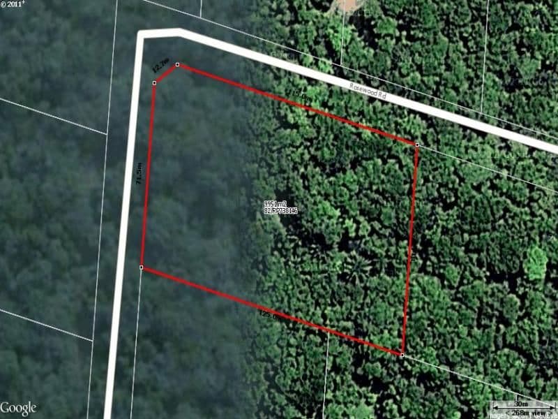 82 Rosewood Road, DAINTREE QLD 4873, Daintree - Image 1