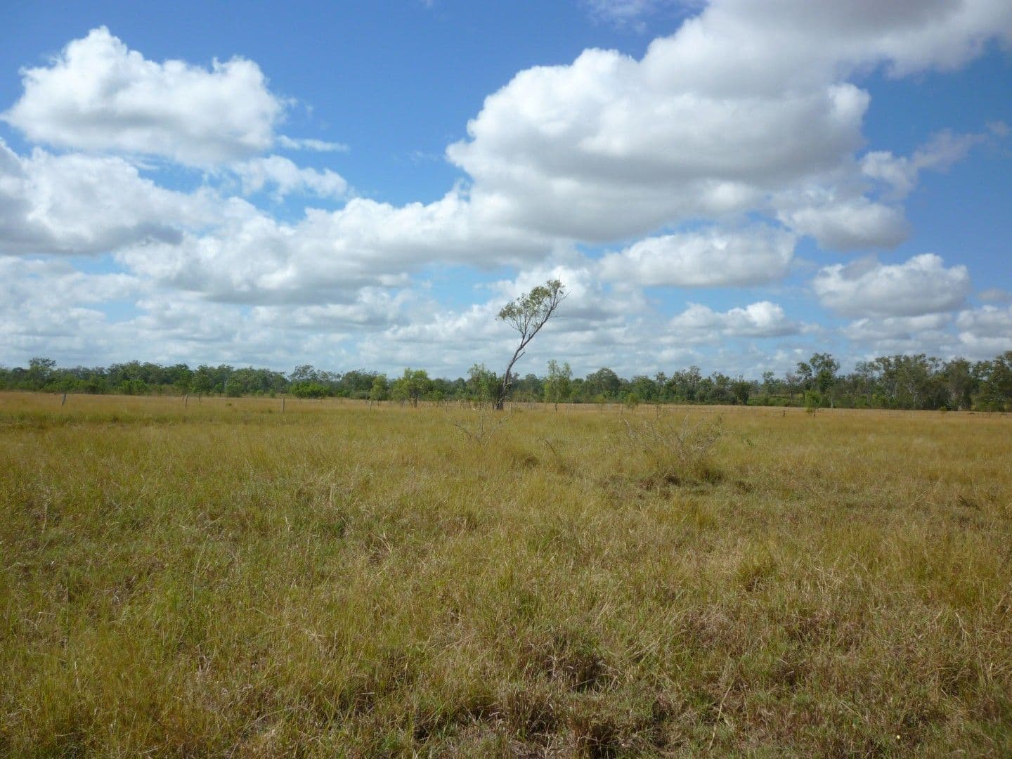 Lot 11 Boongary Road, GRACEMERE QLD 4702, Gracemere - Image 1
