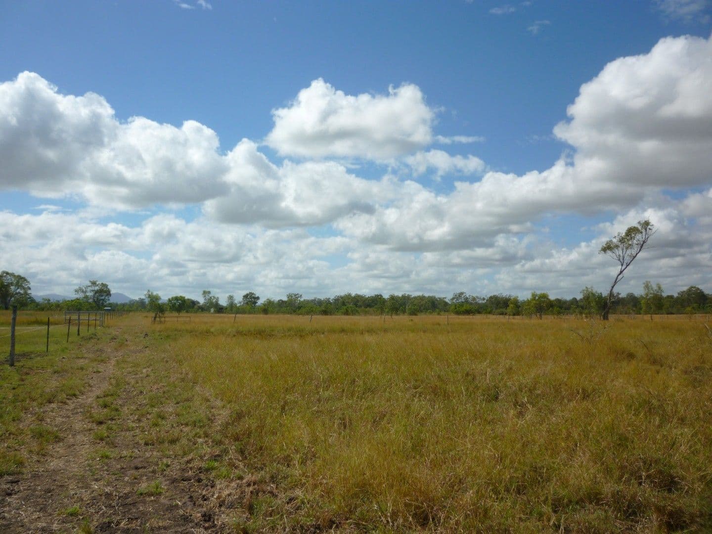 Lot 11 Boongary Road, GRACEMERE QLD 4702, Gracemere - Thumbnail 5