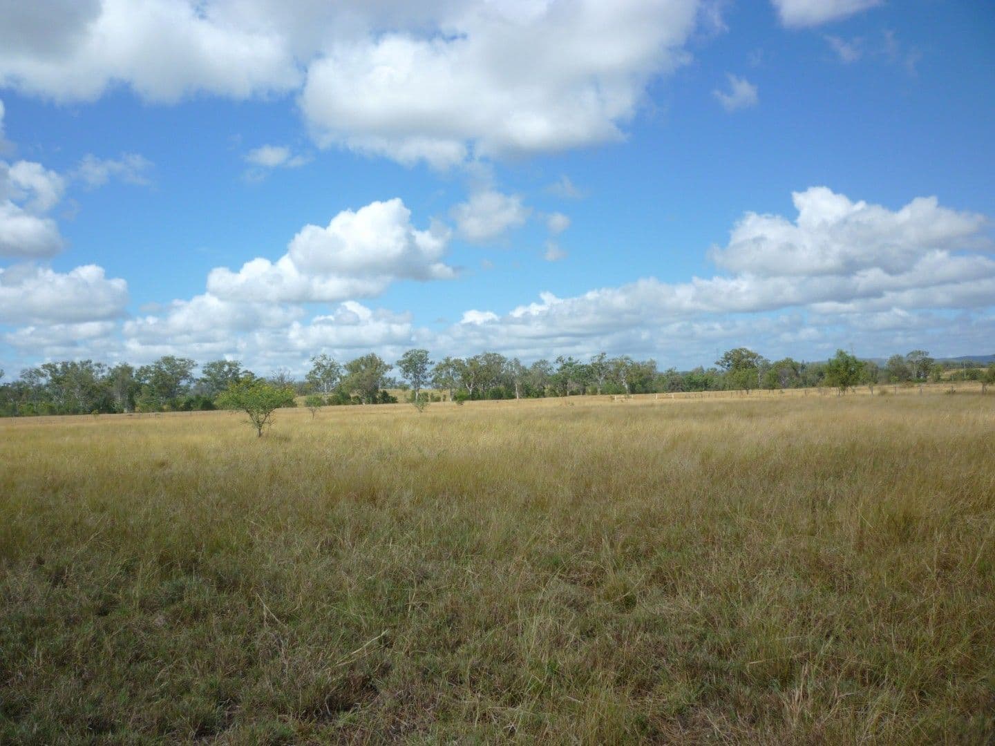 Lot 11 Boongary Road, GRACEMERE QLD 4702, Gracemere - Thumbnail 4