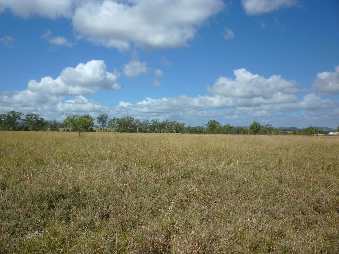 Lot 11 Boongary Road, GRACEMERE QLD 4702, Gracemere - Thumbnail 2
