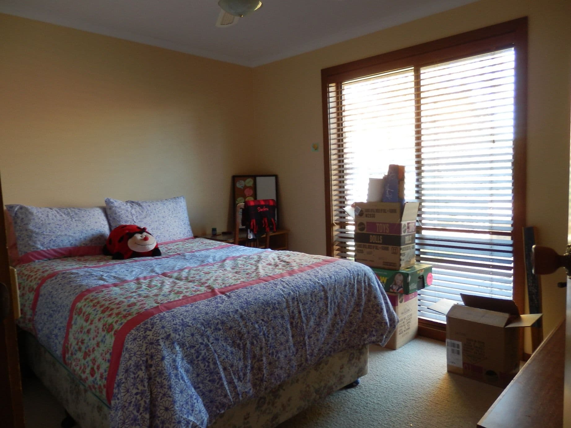 4 Colonel Court, ECHUCA VIC 3564, Echuca - Thumbnail 5