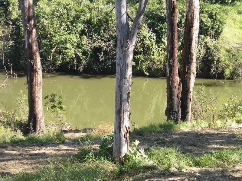 PATRICK ESTATE QLD 4311, Patrick Estate - Image 1