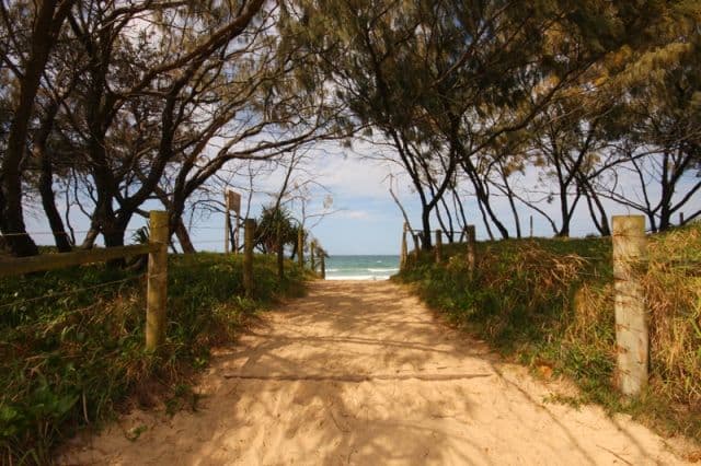 86 Sixth Avenue, COTTON TREE QLD 4558, Cotton Tree - Thumbnail 4