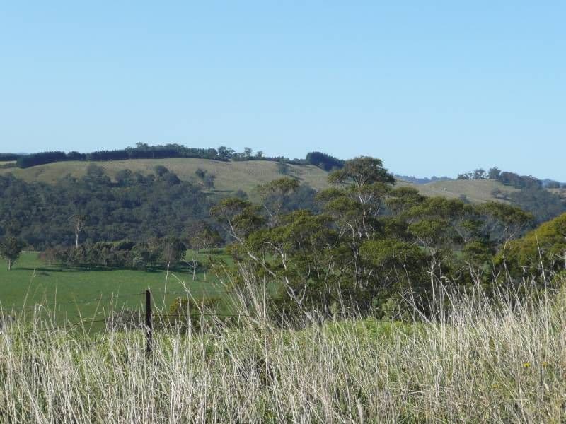 183 Ringwood Road, EXETER NSW 2579, Exeter - Thumbnail 4