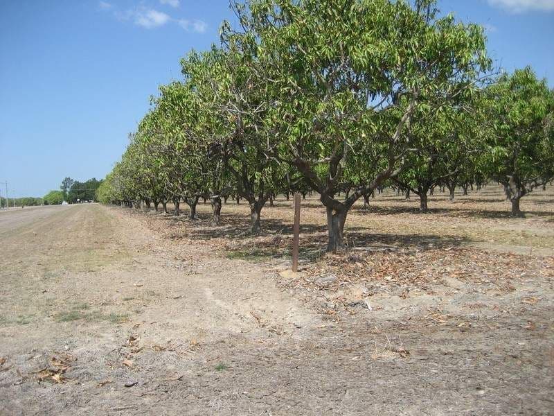 HORSESHOE LAGOON QLD 4809, Horseshoe Lagoon - Thumbnail 2