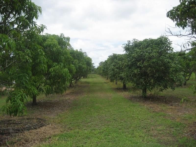 AYR QLD 4807, Ayr - Thumbnail 4