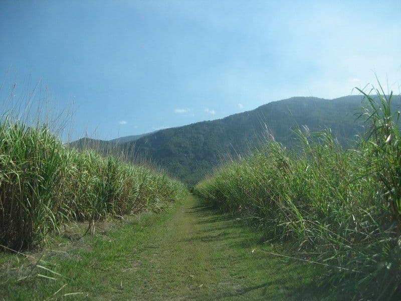 MOUNT SURROUND QLD 4809, Mount Surround - Thumbnail 2