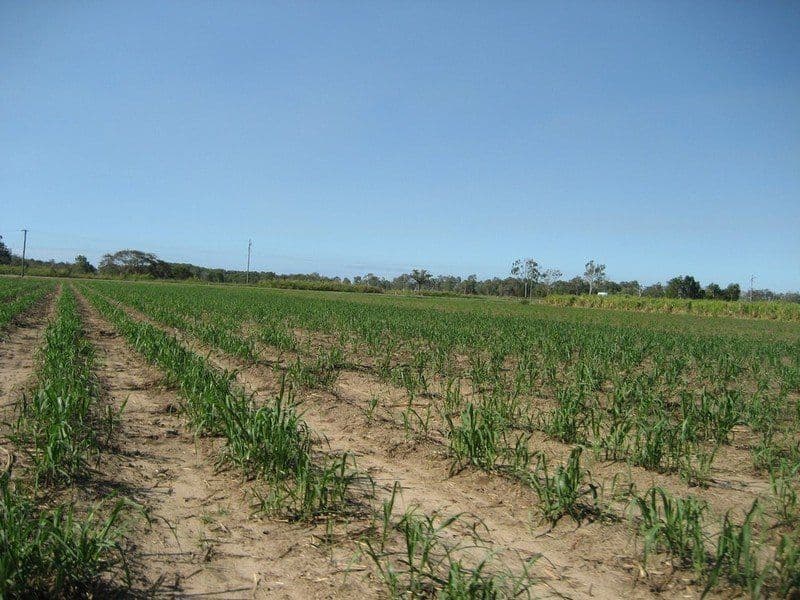 MOUNT SURROUND QLD 4809, Mount Surround - Thumbnail 5