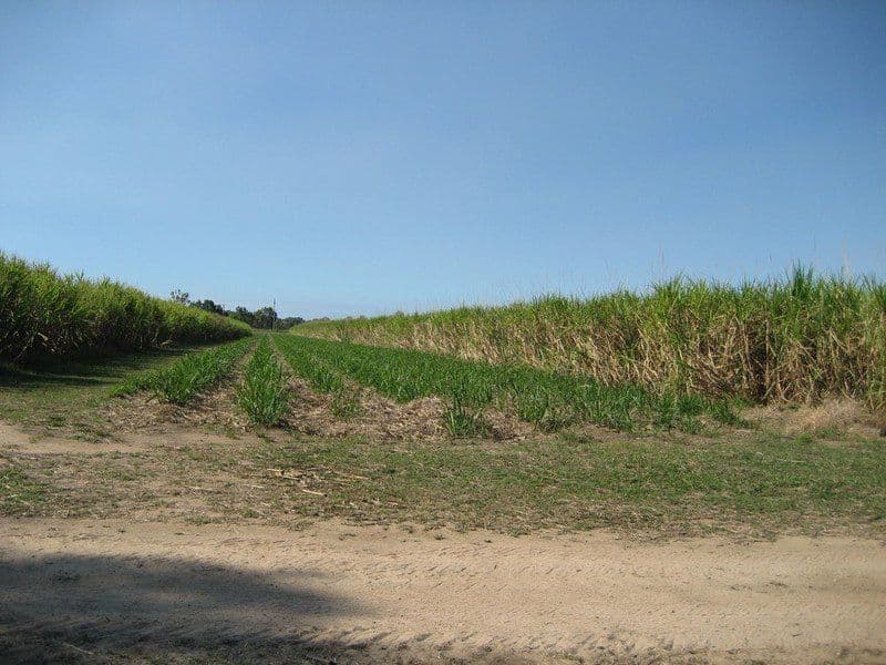 MOUNT SURROUND QLD 4809, Mount Surround - Image 1