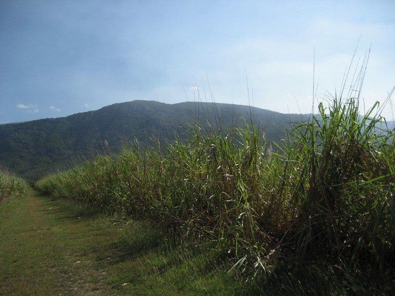 MOUNT SURROUND QLD 4809, Mount Surround - Thumbnail 4