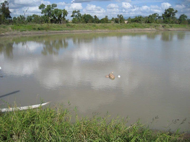 GUMLU QLD 4805, Gumlu - Thumbnail 7