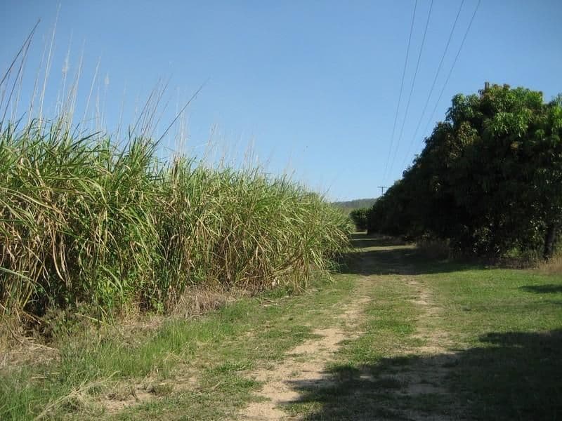 MOUNT SURROUND QLD 4809, Mount Surround - Thumbnail 3