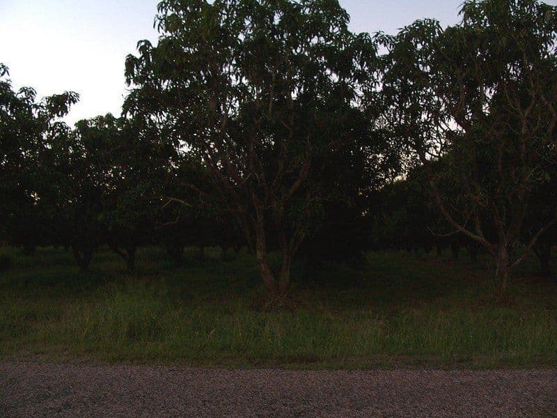 MOUNT KELLY QLD 4807, Mount Kelly - Thumbnail 2
