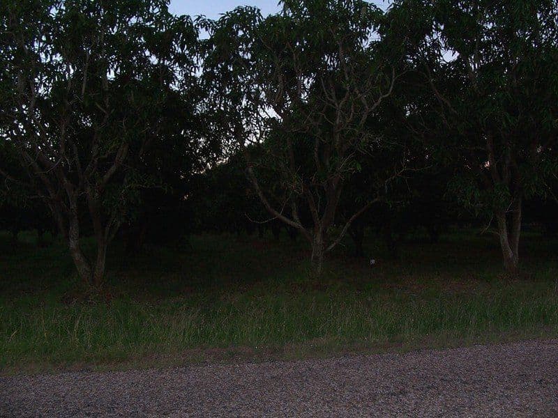 MOUNT KELLY QLD 4807, Mount Kelly - Thumbnail 3