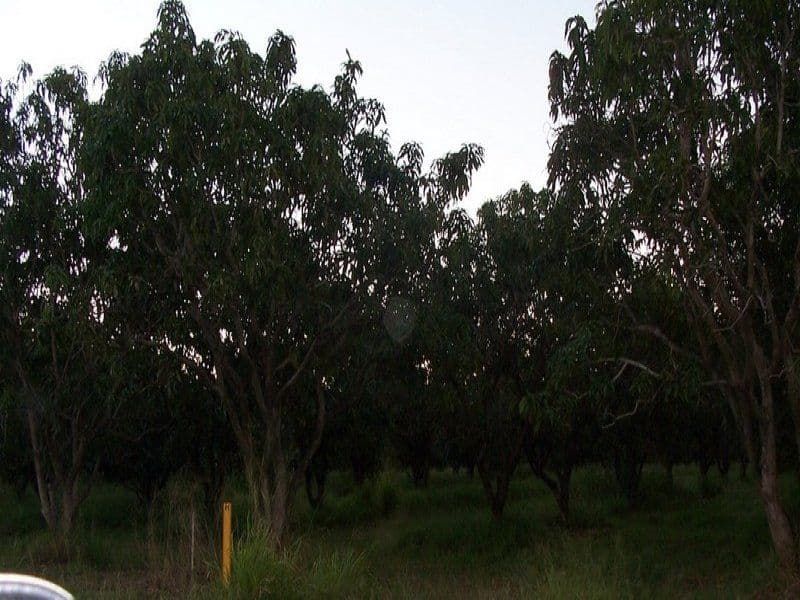 MOUNT KELLY QLD 4807, Mount Kelly - Image 1