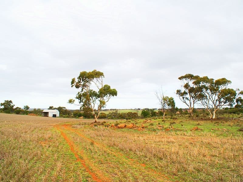 333,334,364 Anders and Law Road, ROCKLEIGH SA 5254, Rockleigh - Thumbnail 3