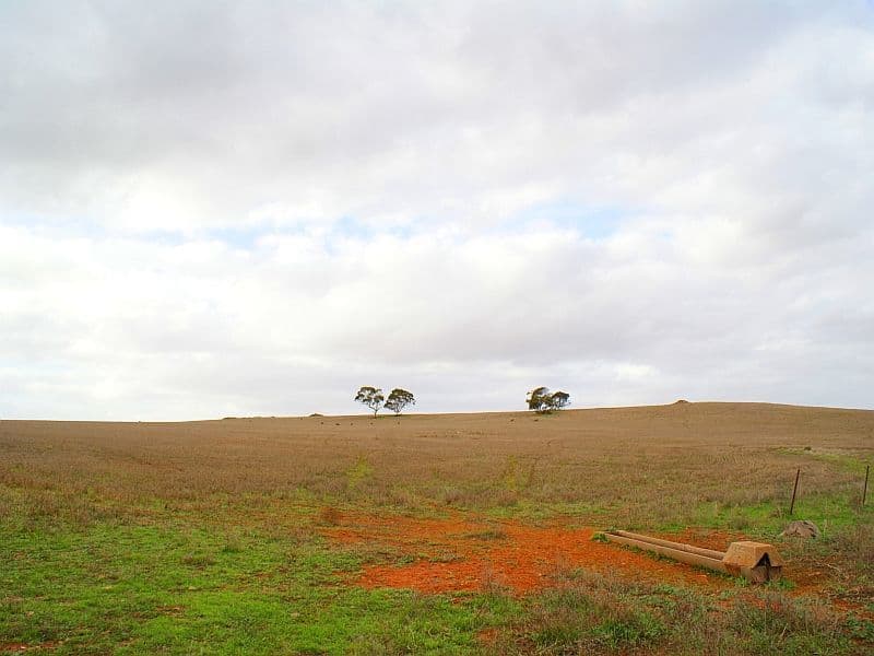 333,334,364 Anders and Law Road, ROCKLEIGH SA 5254, Rockleigh - Thumbnail 2