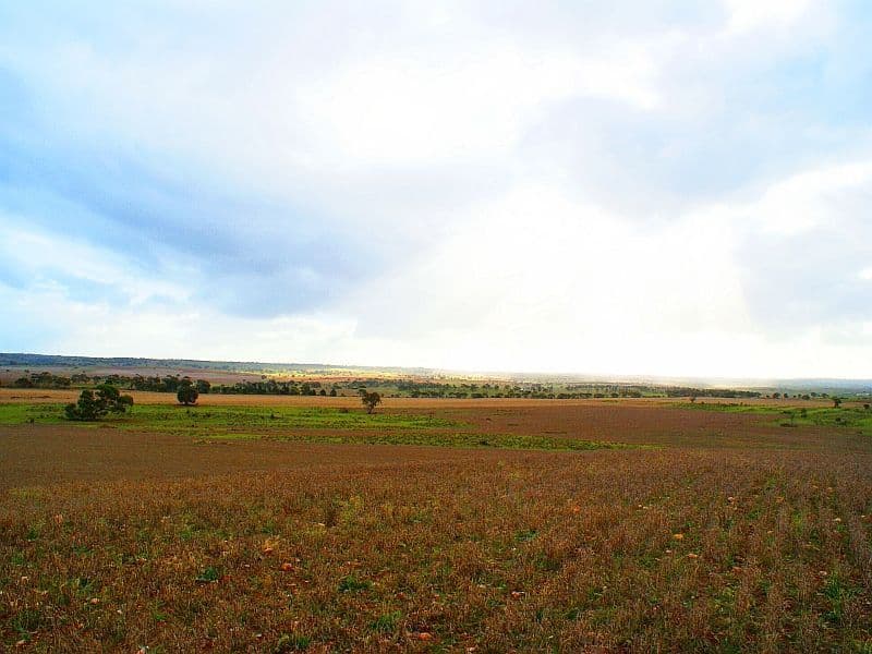 333,334,364 Anders and Law Road, ROCKLEIGH SA 5254, Rockleigh - Thumbnail 5