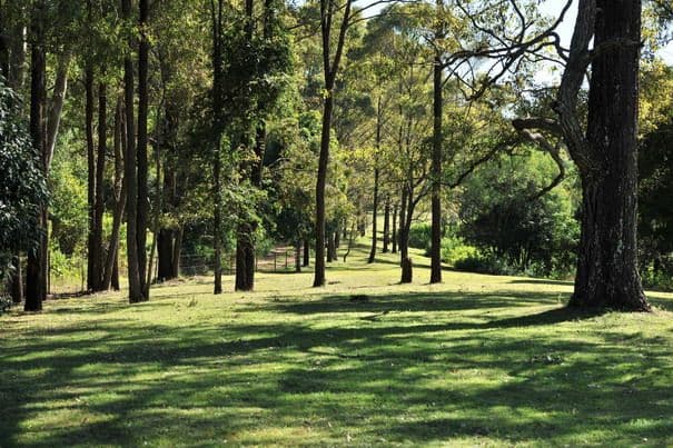 162 Regent Road, ESK QLD 4312, Esk - Thumbnail 2