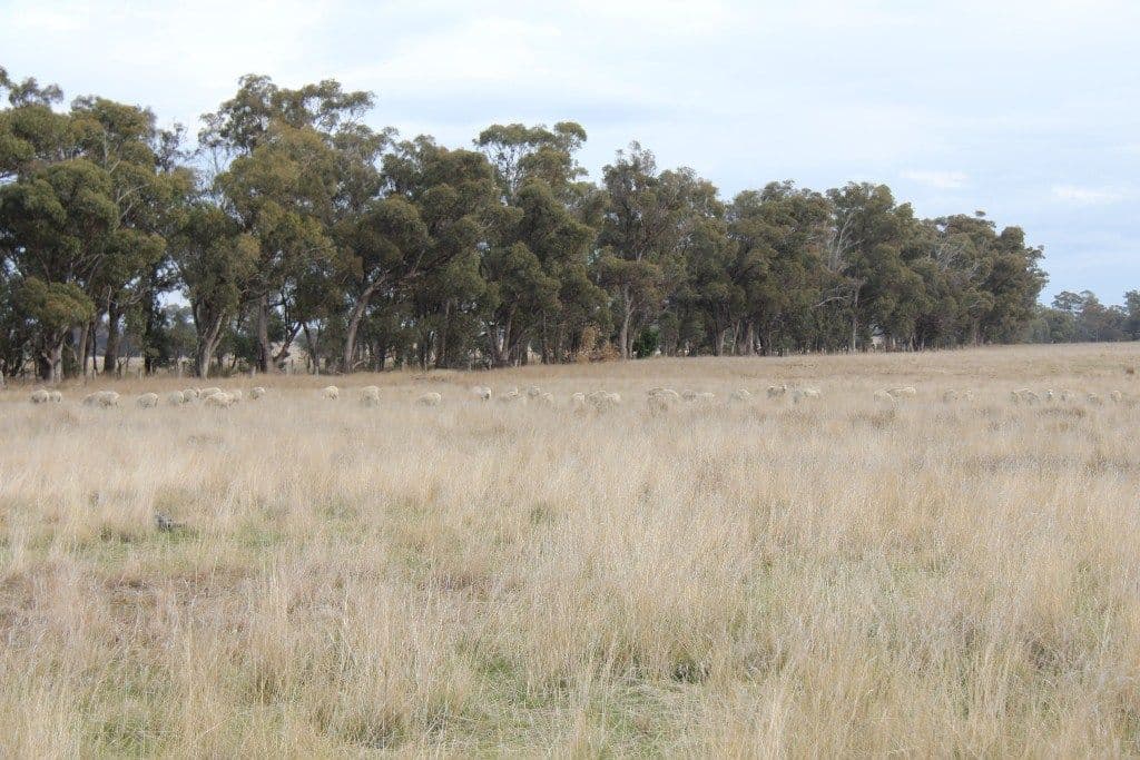 Lot 2 Cochranes Road, COSTERFIELD VIC 3523, Costerfield - Thumbnail 7