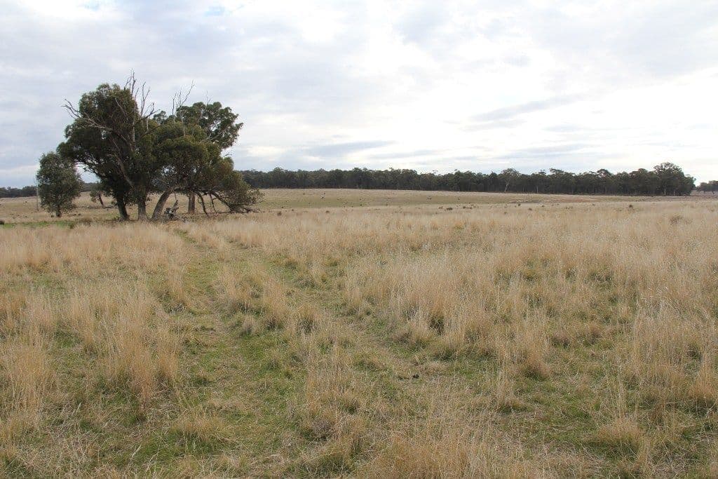 Lot 2 Cochranes Road, COSTERFIELD VIC 3523, Costerfield - Thumbnail 5