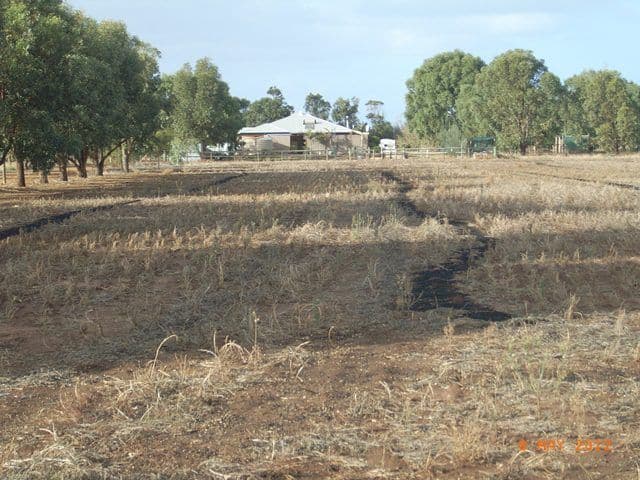 22 Bonniefield East Road, DONGARA WA 6525, Dongara - Thumbnail 3