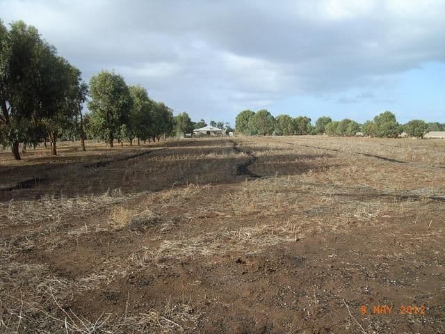 22 Bonniefield East Road, DONGARA WA 6525, Dongara - Thumbnail 2