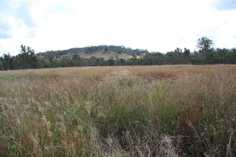490 Sexton Road, SEXTON QLD 4570, Sexton - Thumbnail 4