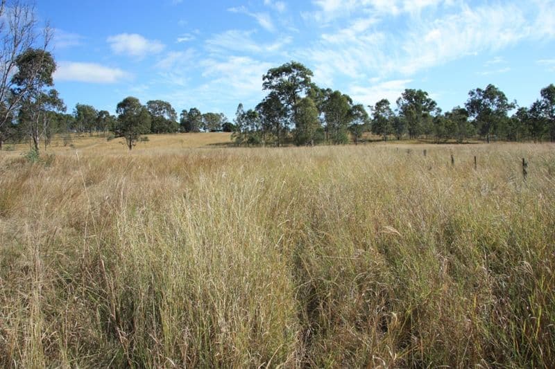 490 Sexton Road, SEXTON QLD 4570, Sexton - Thumbnail 8