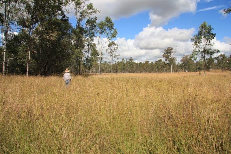 490 Sexton Road, SEXTON QLD 4570, Sexton - Image 1