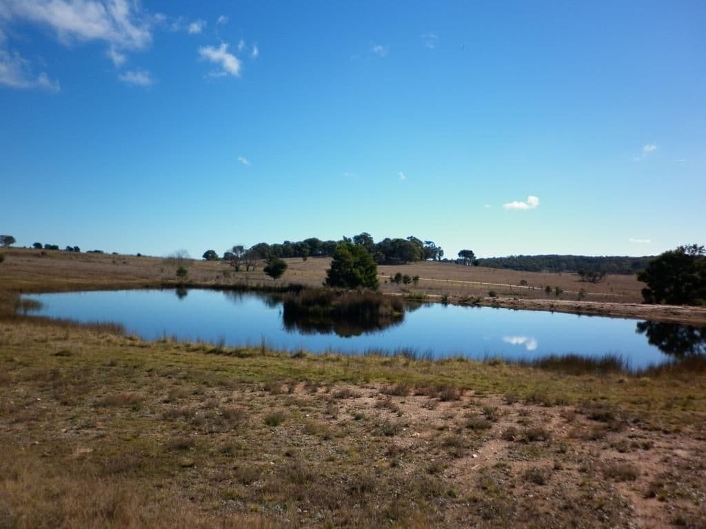 116 Golden Plains Drive, GOULBURN NSW 2580, Goulburn - Image 1