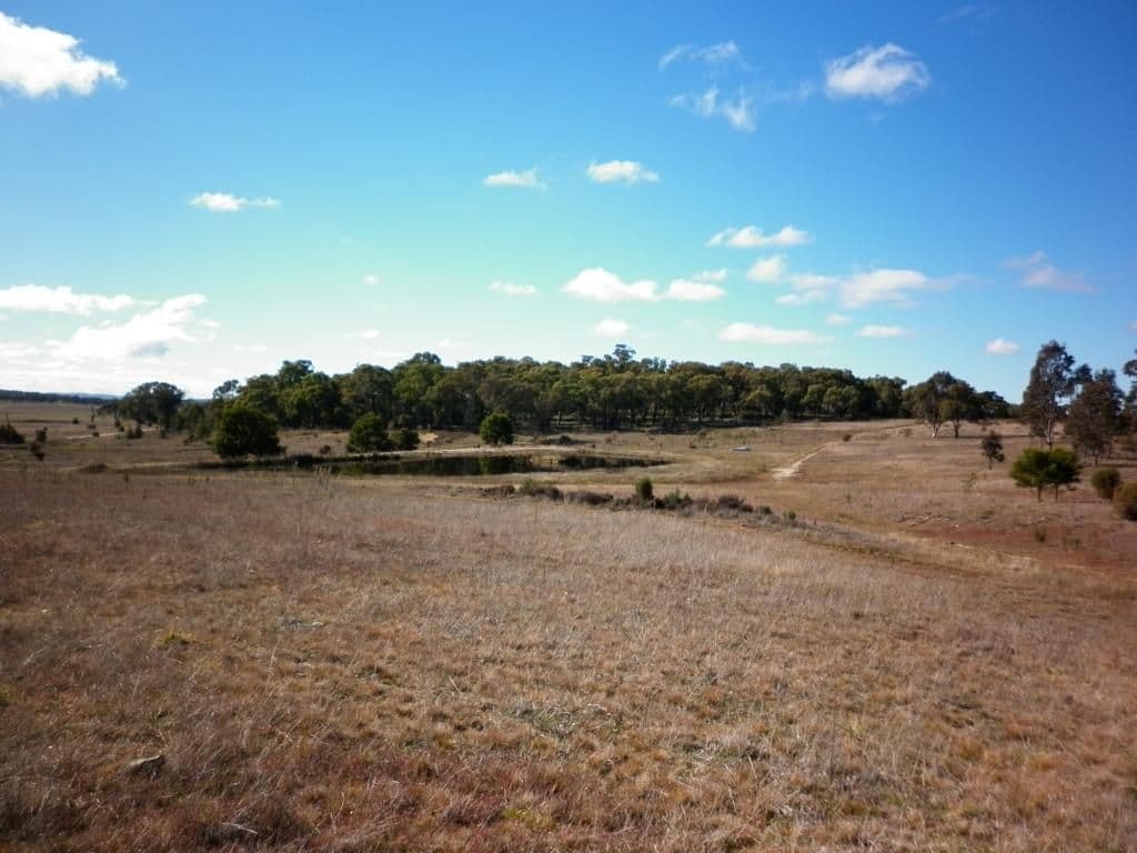 116 Golden Plains Drive, GOULBURN NSW 2580, Goulburn - Thumbnail 2