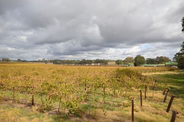 Lot 6 Lyndoch Valley Road, WILLIAMSTOWN SA 5351, Williamstown - Thumbnail 3