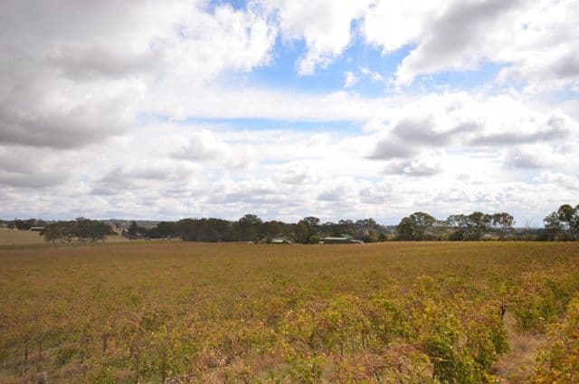 Lot 6 Lyndoch Valley Road, WILLIAMSTOWN SA 5351, Williamstown - Thumbnail 2