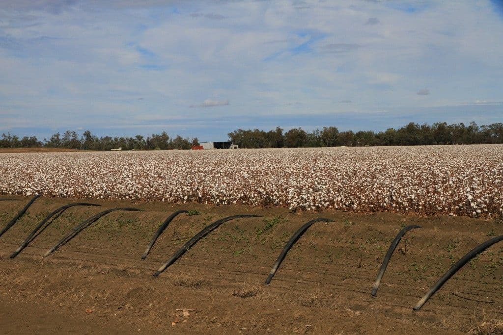 MERAH NORTH NSW 2388, Merah North - Thumbnail 2