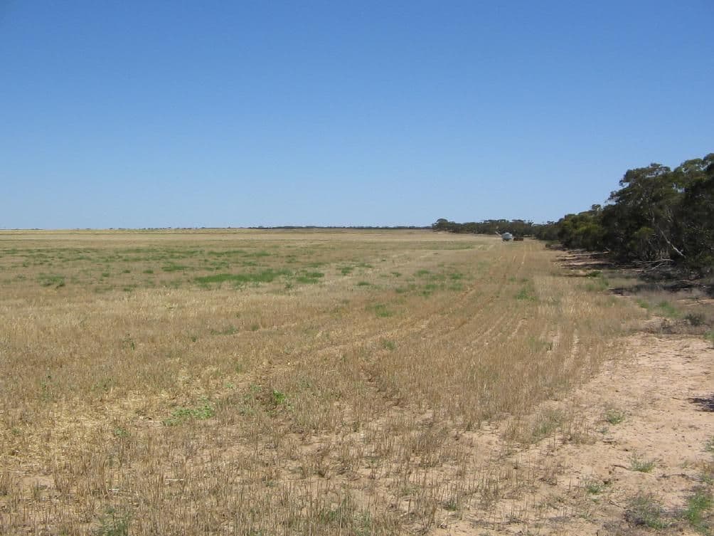 Lot 51 Mulpata Road, LAMEROO SA 5302, Lameroo - Thumbnail 3