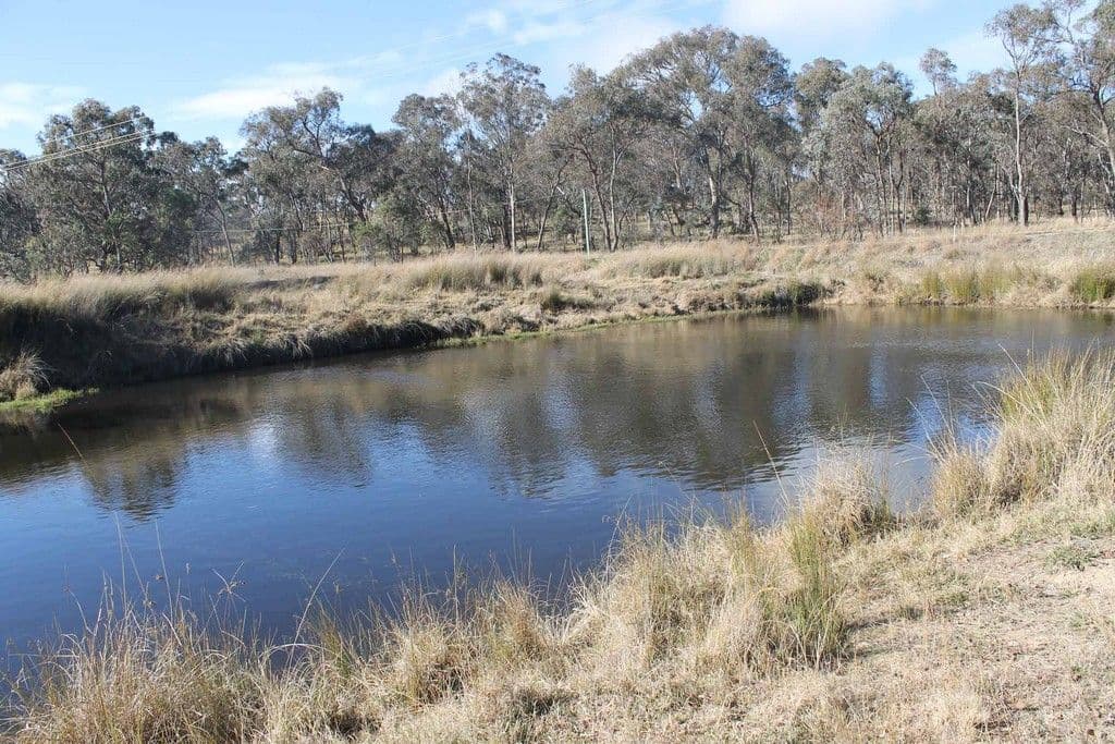 "Twin Pines" Wellington Vale Road, EMMAVILLE NSW 2371, Emmaville - Thumbnail 2