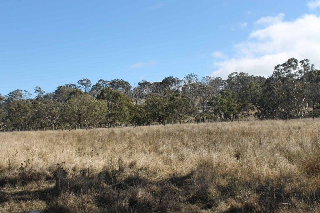 "Twin Pines" Wellington Vale Road, EMMAVILLE NSW 2371, Emmaville - Thumbnail 5
