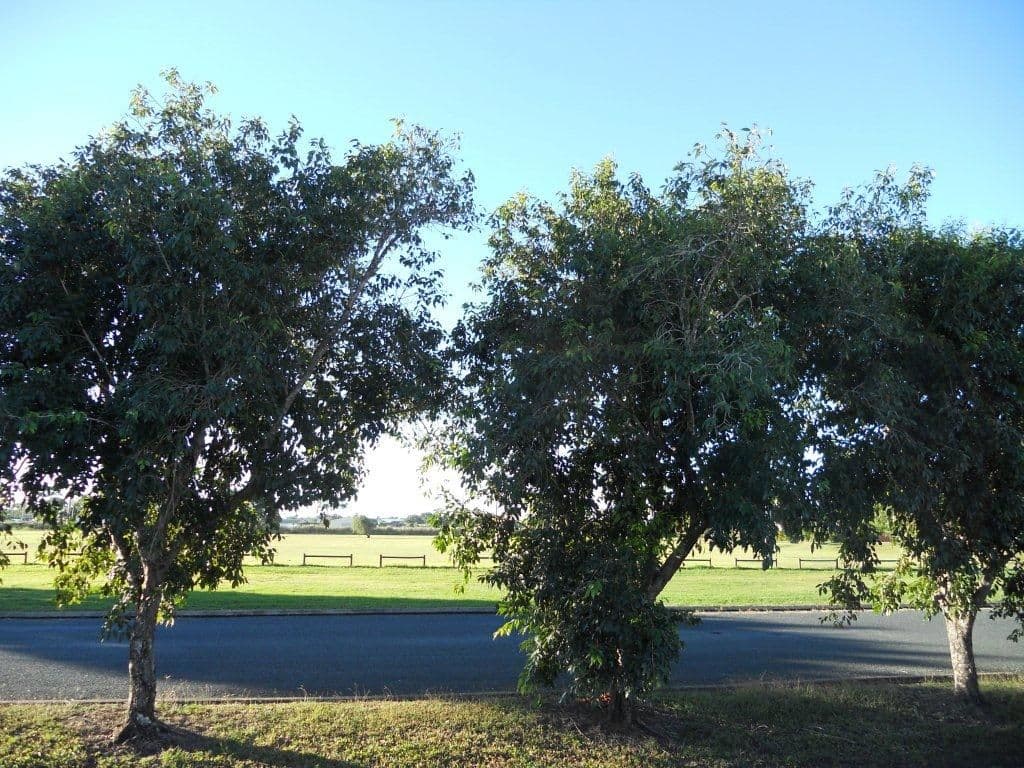 27 Scriha Street, NORTH MACKAY QLD 4740, North Mackay - Thumbnail 8