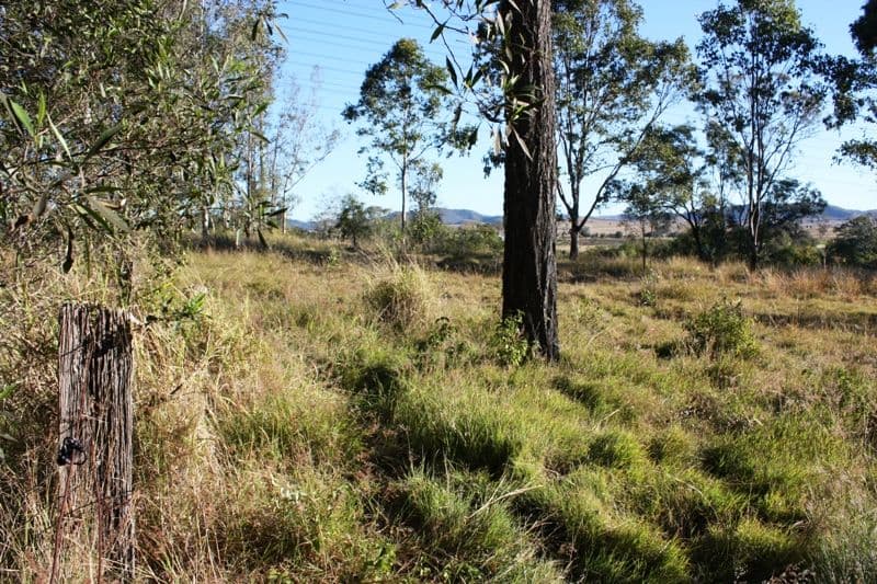 0 Emu Creek Road, COLINTON QLD 4314, Colinton - Thumbnail 2