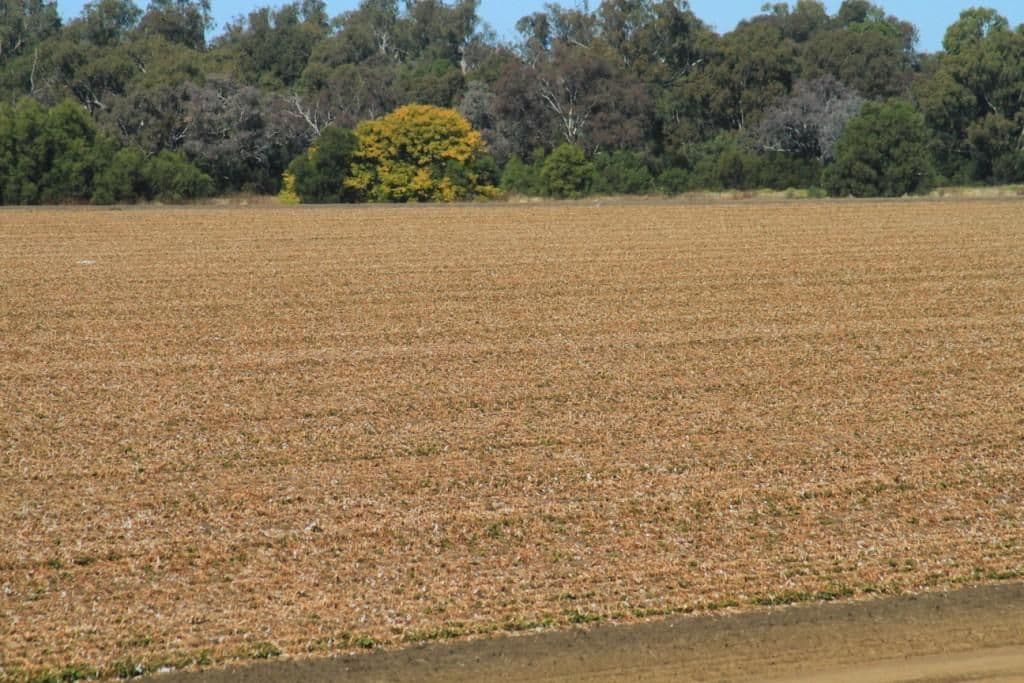 2745 "Scotsburn", MERAH NORTH NSW 2388, Merah North - Thumbnail 3