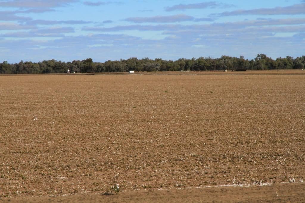 2745 "Scotsburn", MERAH NORTH NSW 2388, Merah North - Thumbnail 7