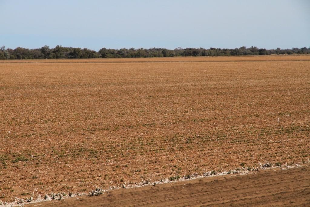 2745 "Scotsburn", MERAH NORTH NSW 2388, Merah North - Thumbnail 4